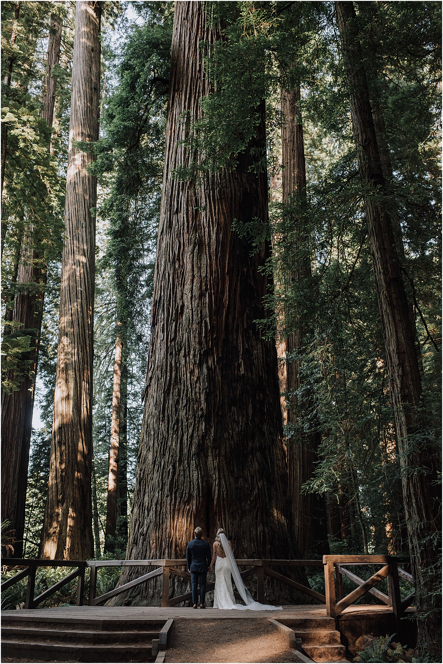 small wedding in redwoods national park and the northern california coast