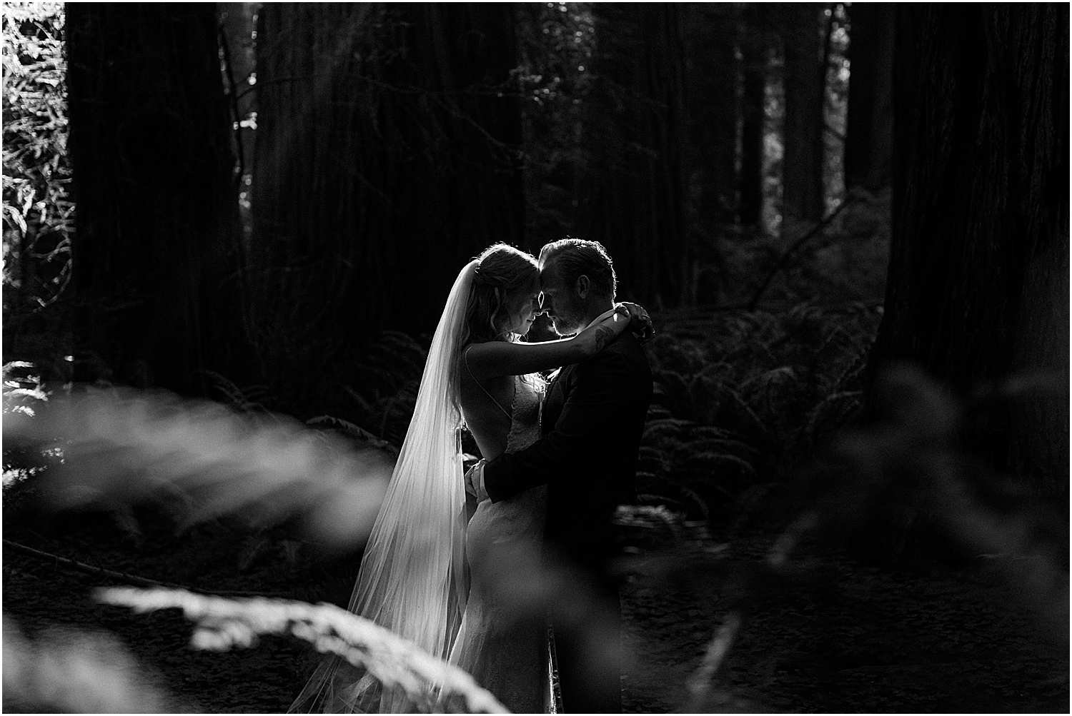 small wedding in redwoods national park and the northern california coast