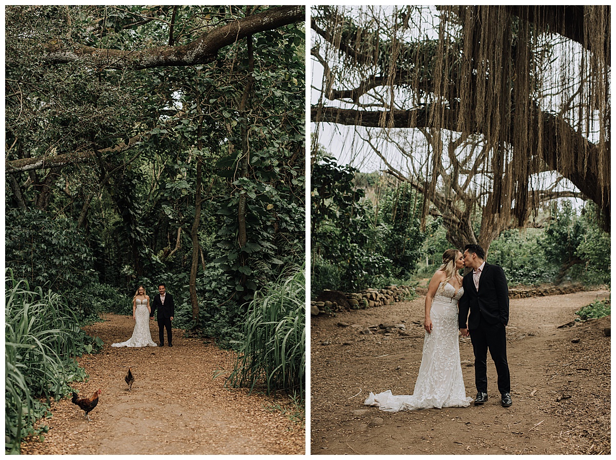 full day elopement in maui hawaii